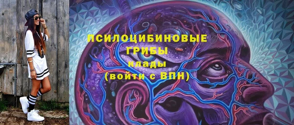 ГАЛЛЮЦИНОГЕННЫЕ ГРИБЫ Рославль