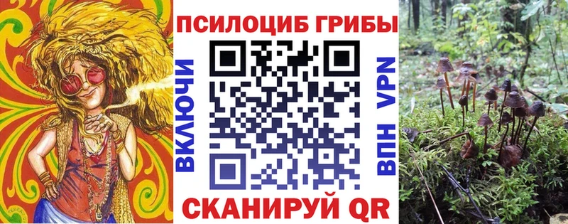 kraken ССЫЛКА  маркетплейс Telegram  Галлюциногенные грибы GOLDEN TEACHER  Ростов 