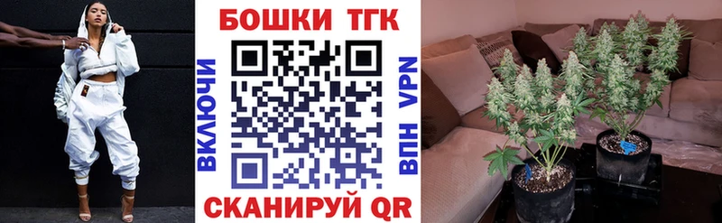 Шишки марихуана THC 21%  Ростов 